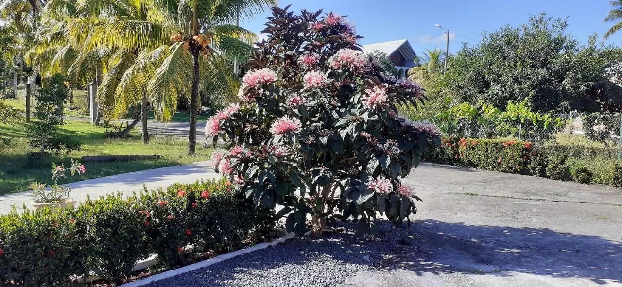 דירות לה מול L'Ixora Des Iles